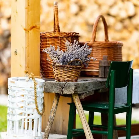 Dom Frana Krala Gasthof *