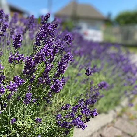 Gasthof Dom Frana Krala Smrečany