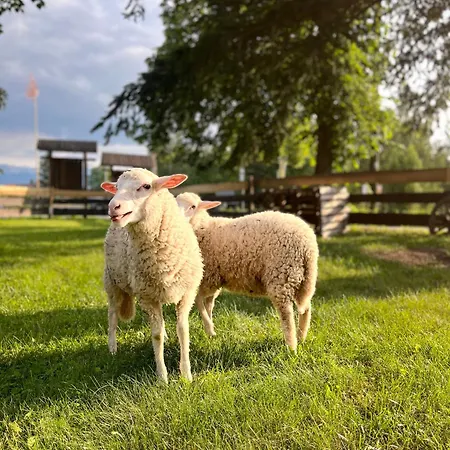 Gasthof Dom Frana Krala